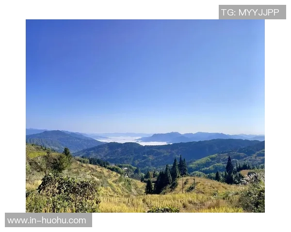 布克谈迈阿密天气变化迅速表示自己并未过于关注阴雨情况